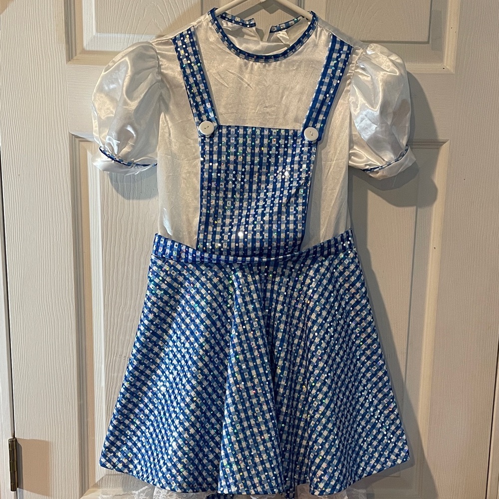 Wizard of Oz Dorothy Size Medium Halloween dress
